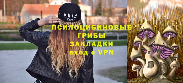 не бодяженный Коряжма