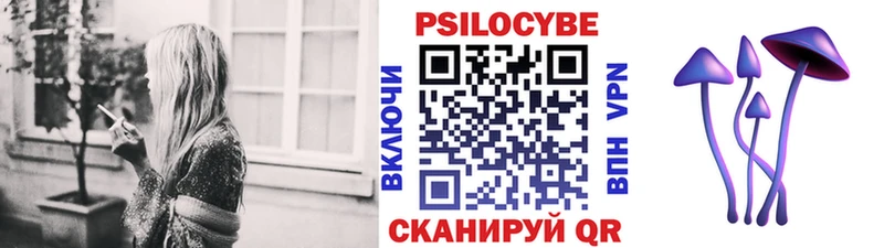 darknet клад  Оха  Псилоцибиновые грибы Magic Shrooms 